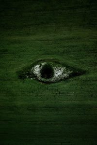 Auge im Feld